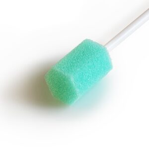 Onahole Cleaning Sponge